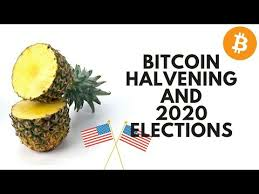 Bitcoin Halving and 2020 Election is The Perfect Storm!