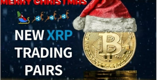 Early Christmas Present: New XRP Trading Pairs on Binance - Today's Crypto News