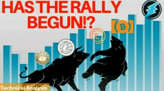 Has The Rally Begun?! Bitcoin Cash Surge, Electroneum Skyrocketing and MORE!
