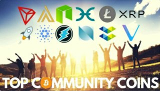 Top Coins from Our Community