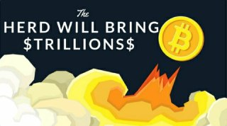 Long-Term Investors Say BTC herd will bring $TRILLIONS - Today's Crypto News