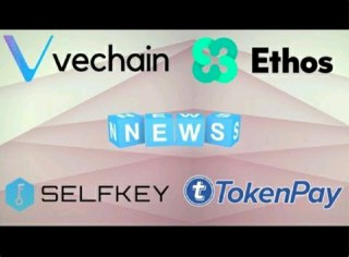 EOS, Ethos, SelfKey, Vechain Thor & TokenPay Updates - Today's Crypto News