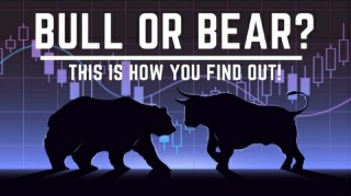 Are We Really in a Bear Market? This is How You Find Out!