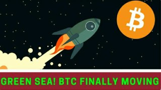 BTC GREEN SEA!! + Positive UK and FSB Reports - Today's Crypto News