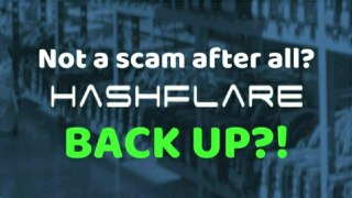 HashFlare BACK UP?! SHA-256 Contract UPDATE