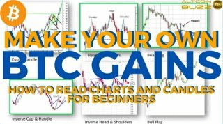 Make Your Own BITCOIN Gains - Basic Technical Analysis using Charts for Beginners