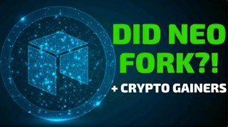 Did NEO Fork?! Plus VeChain, NANO, Cortex - Today's Crypto News