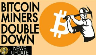 Bitcoin Miners Double Down in Face Of BTC Price Crash - Cryptocurrency News
