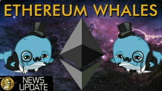 What Are Ethereum Whales Doing to the Price?