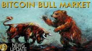 What's Happening to the Price of Bitcoin & Crypto? Bull Run or Bull Trap?