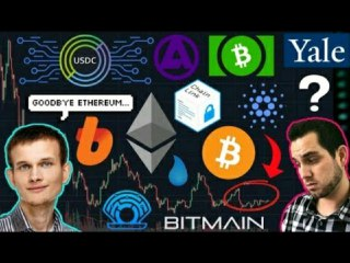 Vitalik Leaving Ethereum? Experts Call $BTC Bottom! Yale Invests In Crypto Fund | Bithumb DEX