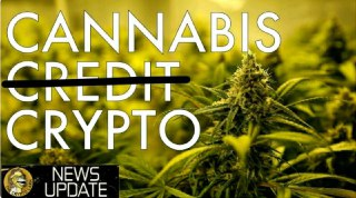Cannabis Needs Crypto, Restaurants Adopt BTC, Elastos TV, Petro & Yale - Bitcoin News