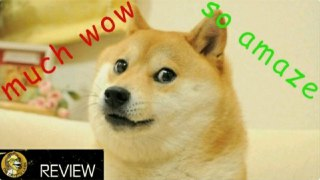 Dogecoin - The New Paradigm of Internet  Money - Cryptocurrency of the Future