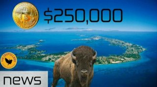 Bitcoin & Cryptocurrency News - Bitcoin $250,000, Bermuda Wants Crypto Biz, & Skin Wallets