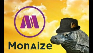 Monaize / MNZ ICO Review - E-banking Meets Blockchain