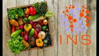 INS Ecosystem ICO - Blockchain for Groceries