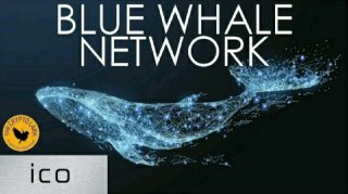 Blue Whale ICO - The Gig Economy Meets Blockchain