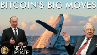 Bitcoin Whales Buying, Putin Green Light, Samsung S10, & Buffett Bashing