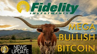 Fidelity Bitcoin Service Goes Live - Bullish for Crypto Long Term Price