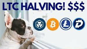 When is LITECOIN Halving? $650 LTC? HUGE MCO and NULS Cryptocurrency News!