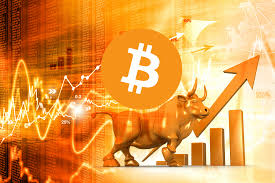 This Bitcoin "Bull Market" Is Completely Different