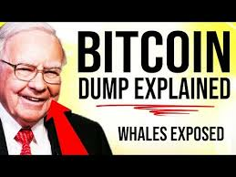 BITCOIN COLLAPSING?! 😳 WHY ARE WE TANKING? Warren Buffet Recession