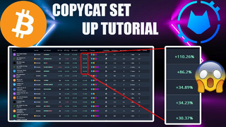 100% Fully automated Bitcoin Trading is Here with CopyCAT 🙀