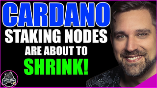 Cardano ADA Staking Nodes Are About To Shrink 😱