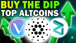 Altcoins With High Potential to Buy in The Dip! (Huge Crypto Gains for 2021)