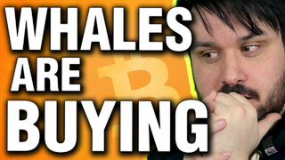 Whales Are Buying Bitcoin Under $50k – Here’s Why