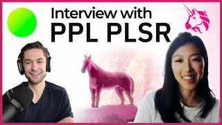 Interview with pplpleasr, creater of 'x*y=k'
