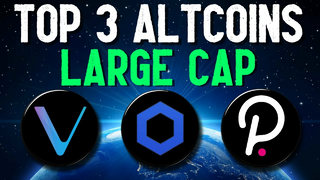 Top 3 LARGE CAP Altcoins Set to EXPLODE in 2021 | Best Cryptocurrency Investments
