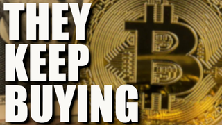 Schools Buying Bitcoin, PayPal Bitcoin, Should Have Bought Bitcoin & I Hate Telephones