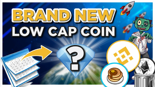 Low Cap Crypto Coin DEX just launched on BSC -- is it worth it?