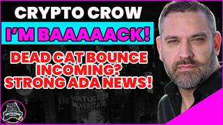 I"M BACK! Strong Cardano News! Dead Cat Bounce Incoming?