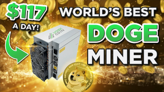 NEW DOGE MINER EARNS $117 A DAY?!
