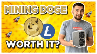 Mining Dogecoin and Litecoin worth it?