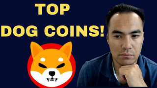 My Top 3 Dog Coins to Buy! Ready to EXPLODE!