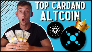 TOP Cardano Altcoin that You Don't Know About!! DOEX