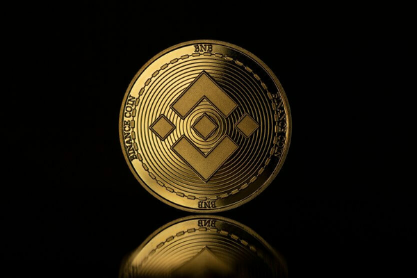 Binance Coin (bnb) Spiked 66% Since The Latest Market Crash, Here Is Why