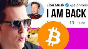 ELON MUSK STARTED ALTSEASON TODAY!!! (How to 10x portfolio from his calls)