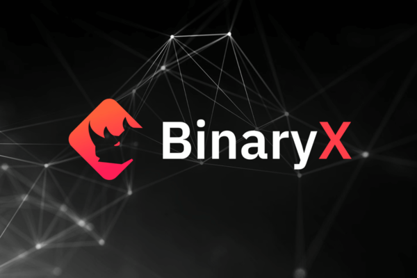 BinaryX Performs Better Than The Crypto Sector, Here Is Why