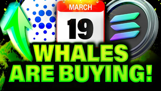 Crypto Whales are Still Buying These Altcoins!