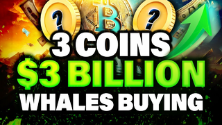 HEAVY Crypto Whale Accumulation | 2 Altcoins Being Bought on the Dip
