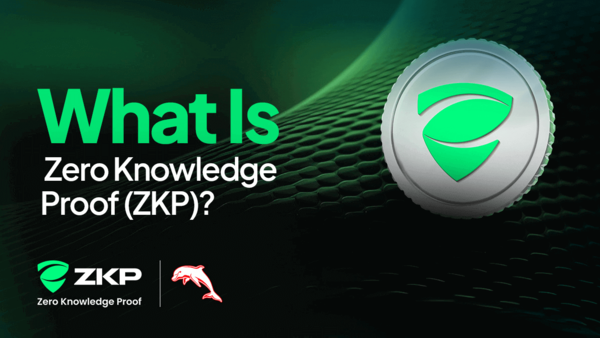 What Is ZKP? Everything You Need to Know About Zero Knowledge Proof ...