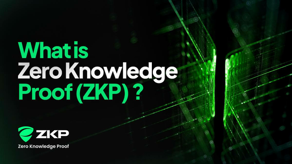 Zero Knowledge Proof ZKP Explained: Inside the Privacy-First Layer 1 ...